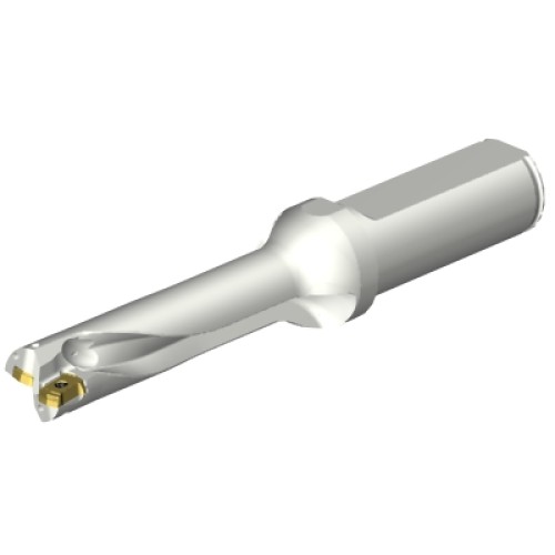 DS20-D1550L20-04