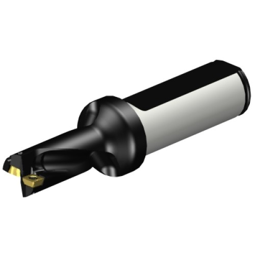 A880-D0562LX19-02