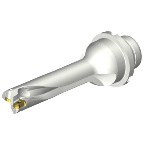 DS20-D1745DM25-04
