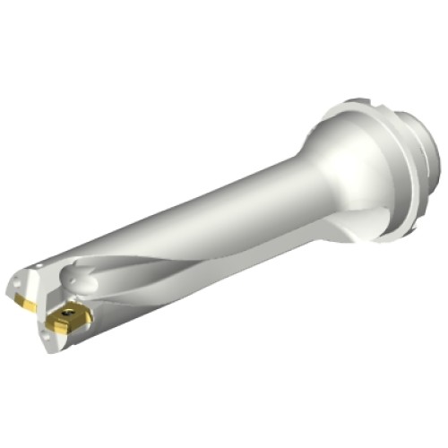 DS20-D3000DM32-04