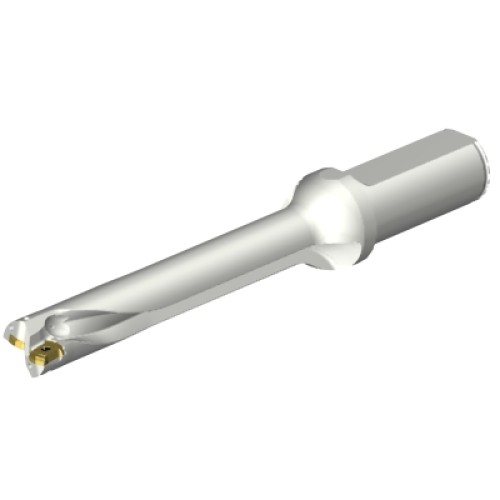 DS20-D1900L25-06
