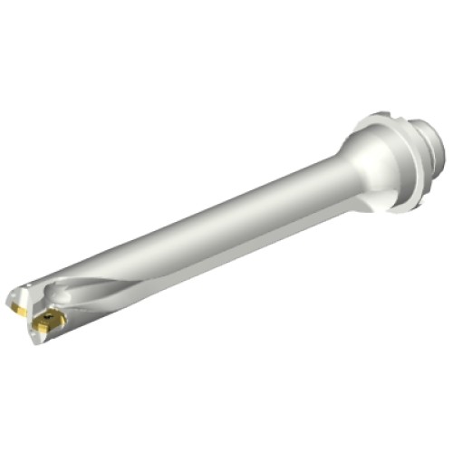 DS20-D2300DM25-07