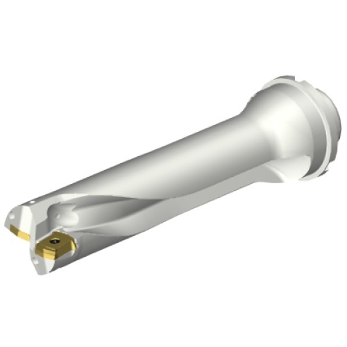 DS20-D4200DM40-04