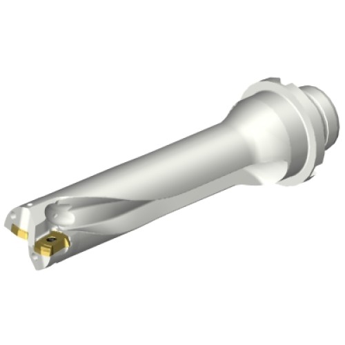 DS20-D2400DM25-04