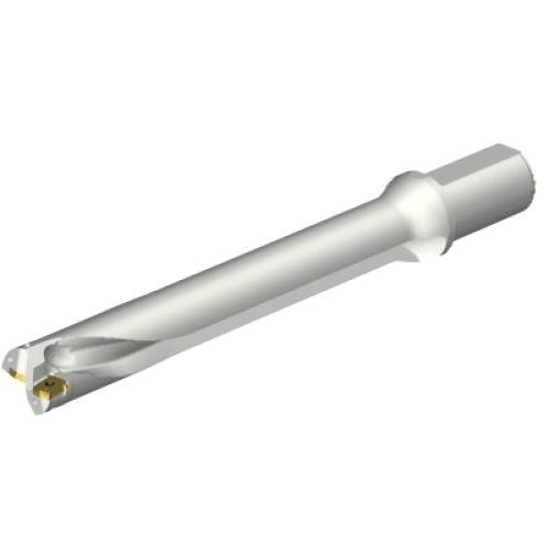 DS20-D3700L40-07