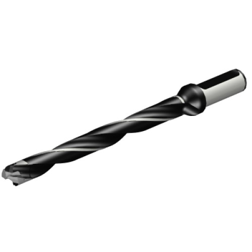 870-1700-17LX075-10