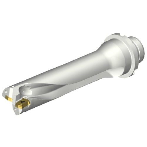 DS20-D2540DM25-04