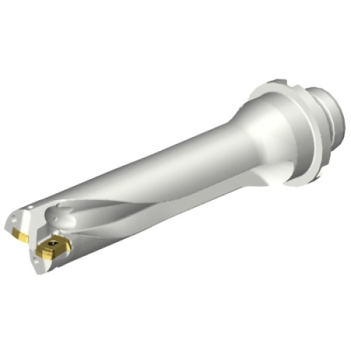 DS20-D2500DM25-04