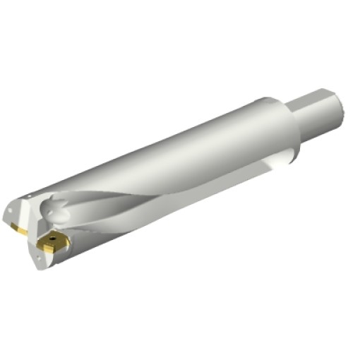 DS20-D6350LX38-04