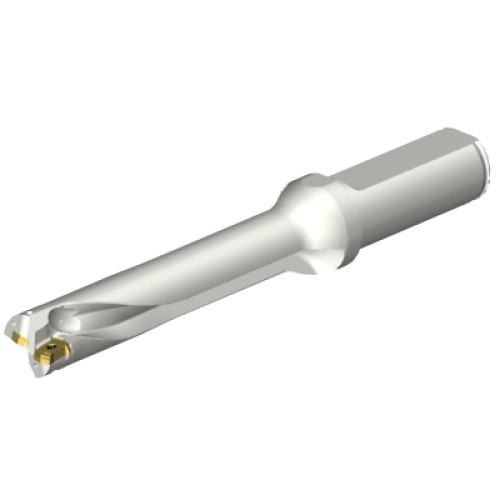 DS20-D1700L20-05