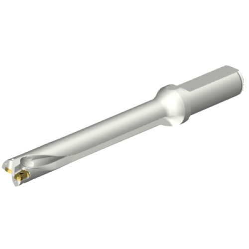 DS20-D1700L20-07