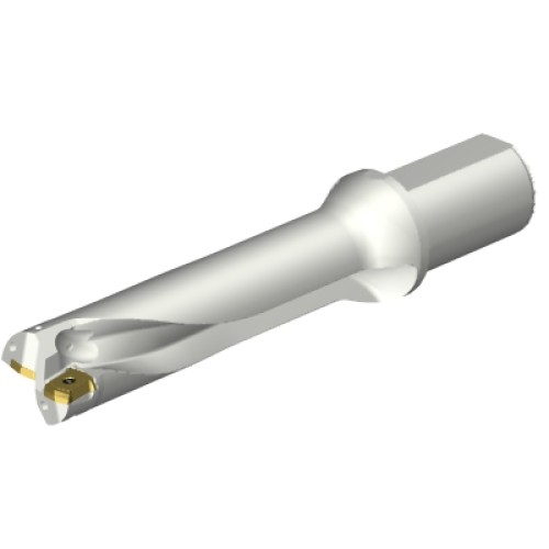 DS20-D4500L50-04