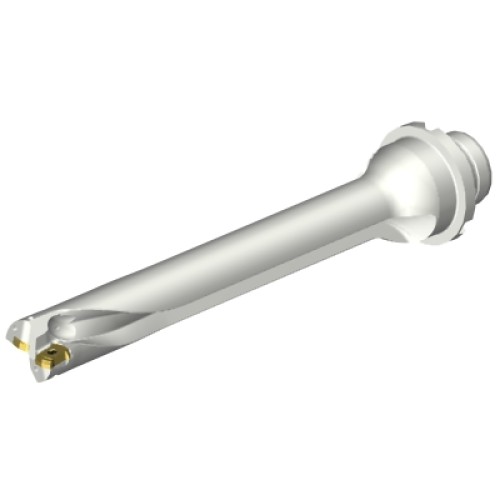 DS20-D2062DM25-07