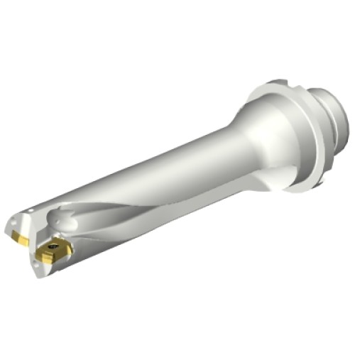 DS20-D2380DM25-04