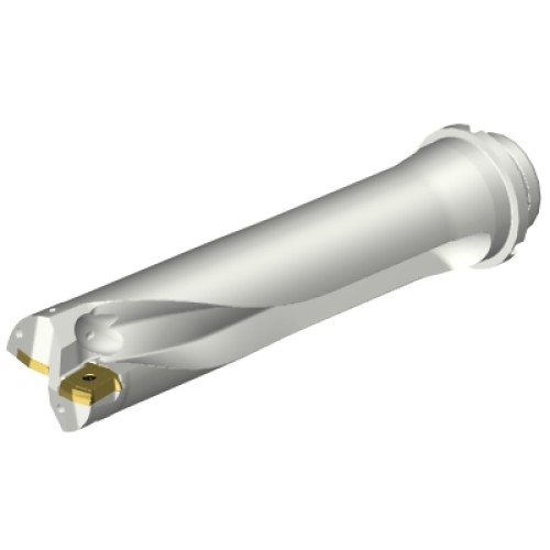 DS20-D5500DM50-04