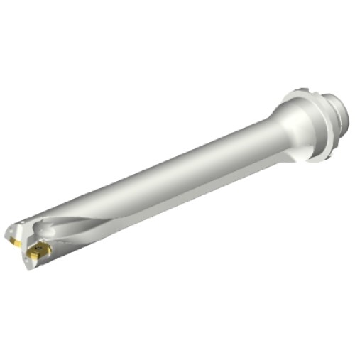 DS20-D2500DM25-07