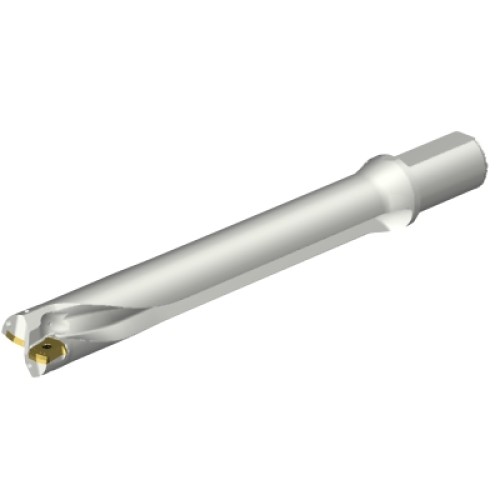 DS20-D4100L40-07