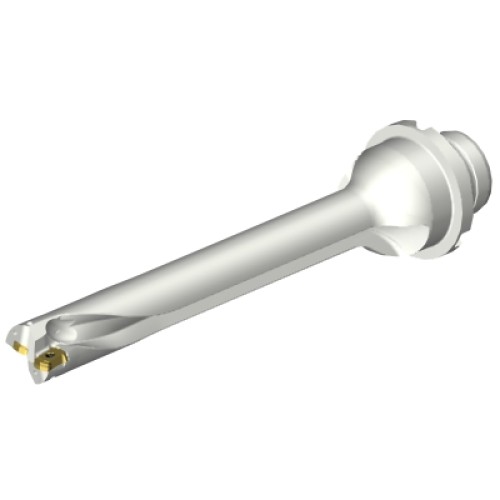 DS20-D1745DM25-07