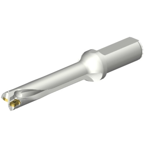 DS20-D1950L25-05