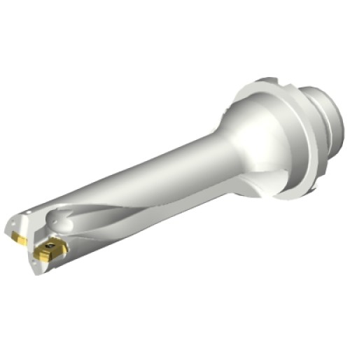 DS20-D2062DM25-04