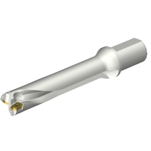 DS20-D4500L50-05