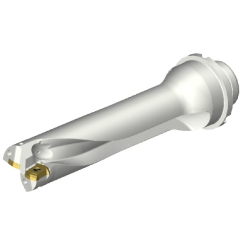 DS20-D3100DM32-04