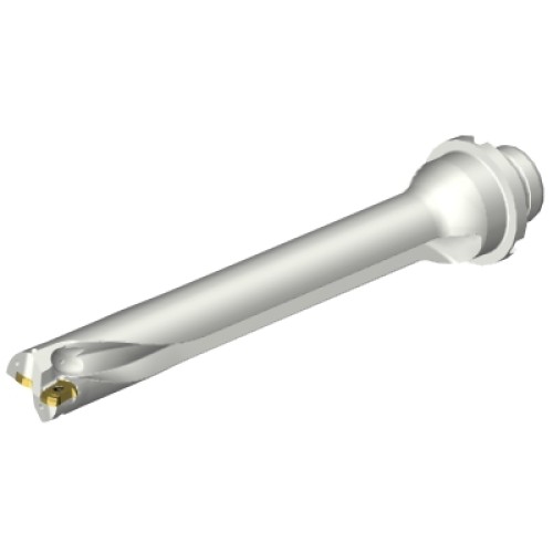 DS20-D2200DM25-07