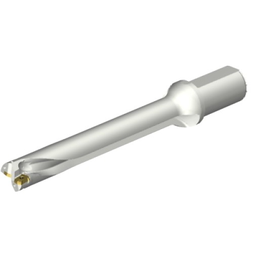 DS20-D3100L40-07