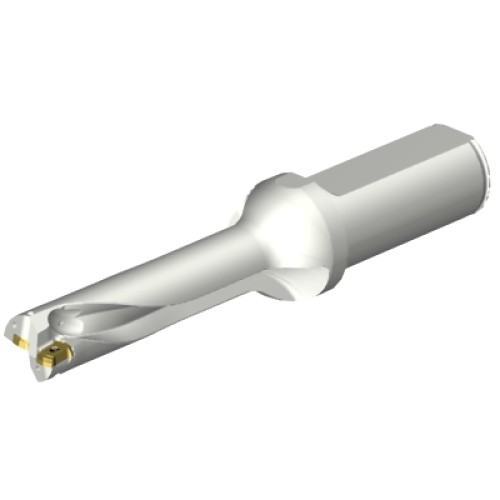 DS20-D1800L25-04