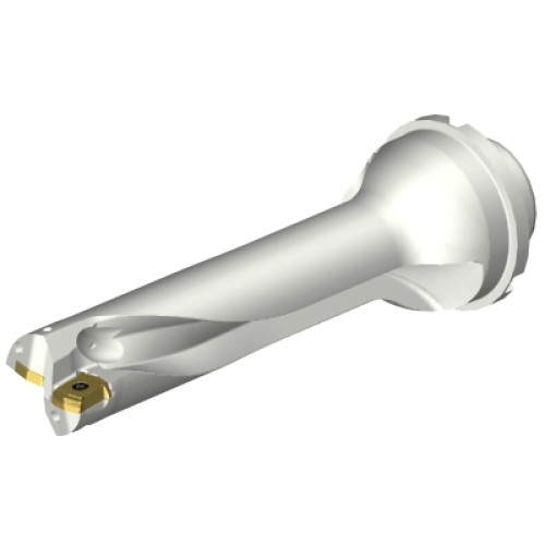 DS20-D3332DM40-04