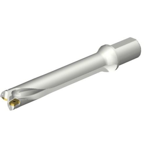 DS20-D4500L50-06
