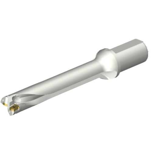 DS20-D3100L40-06
