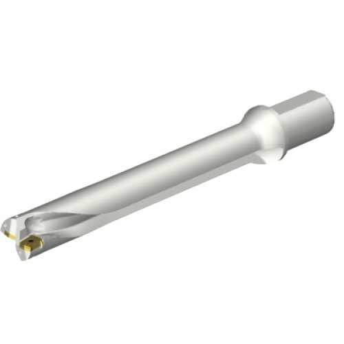 DS20-D4500L50-07