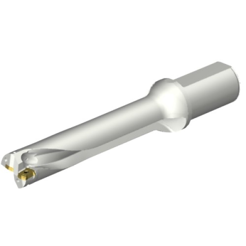 DS20-D3300L40-05