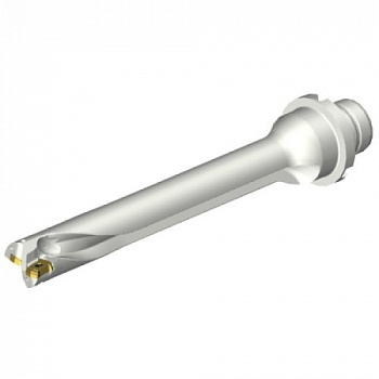 DS20-D1666DM20-07