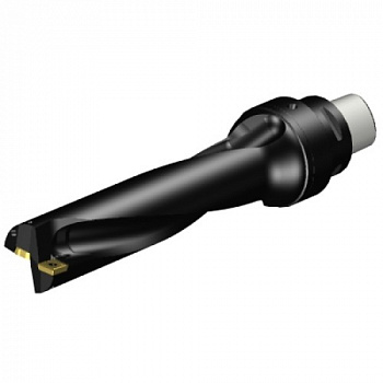 880-D4200C5-04M1