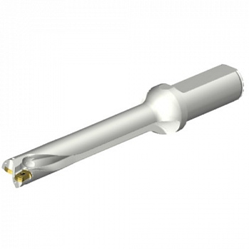 DS20-D1900L25-06