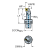 C3-SCLCL-13075-09