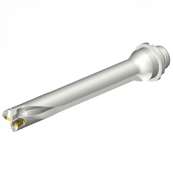 DS20-D2300DM25-07