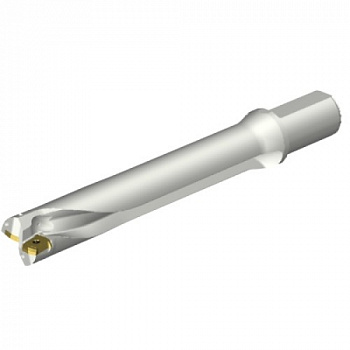 DS20-D4100L40-06