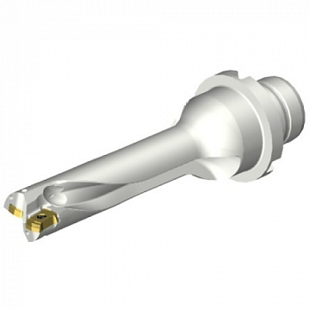 DS20-D1500DM20-04