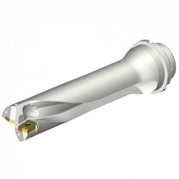 DS20-D4500DM50-04