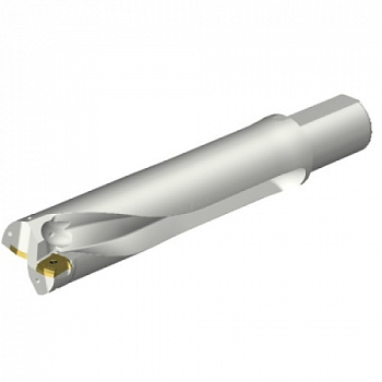 DS20-D6200L50-04