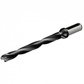 870-1700-17LX075-10