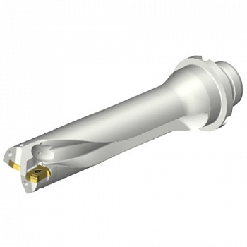 DS20-D2540DM25-04