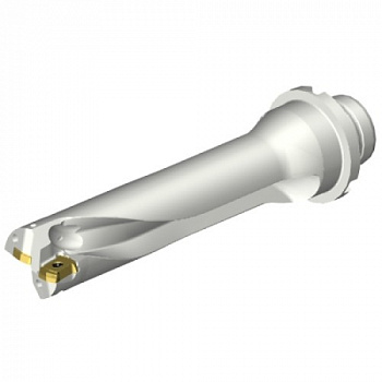 DS20-D2500DM25-04