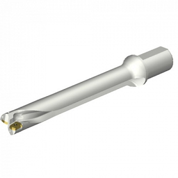 DS20-D4200L50-07