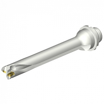 DS20-D2062DM25-07