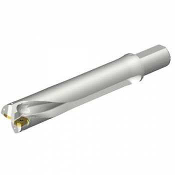 DS20-D4763LX38-05