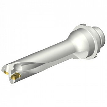 DS20-D2200DM25-04